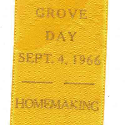 Buffalo Grove Day Homemaking Prize Ribbon
