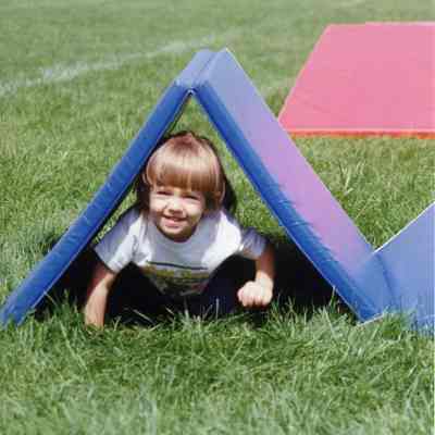 Buffalo Grove Days