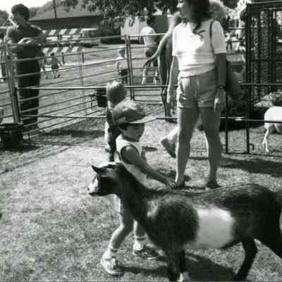 Buffalo Grove Days petting zoo