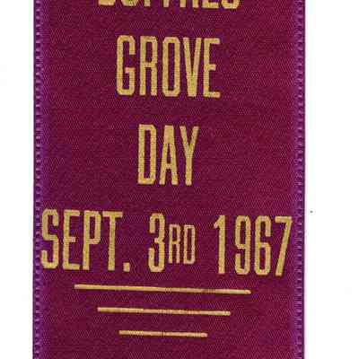 Buffalo Grove Day Homemaking/Gardening Prize Ribbon