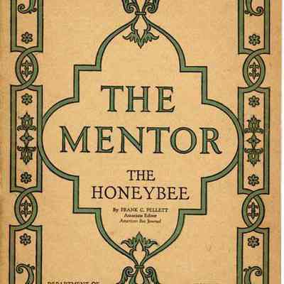 Mentor Magazine No 184