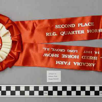 Ribbon, Prize