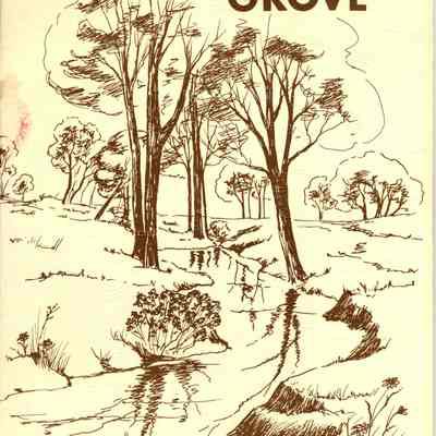 Buffalo Grove: Your Village