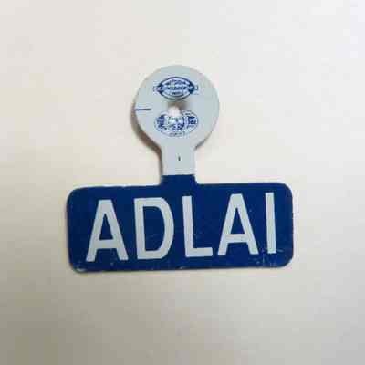 Adlai Stevenson Fold-Over Pin
