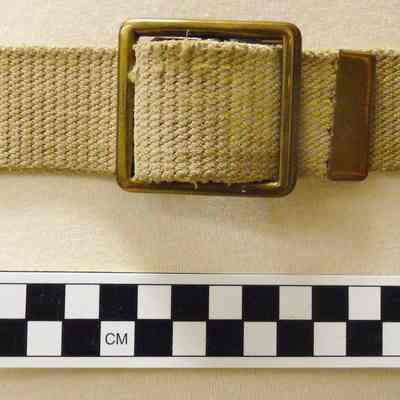 Belt