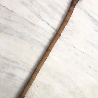 Bamboo Root Club 1/4 Curve_long