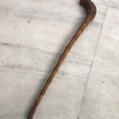Bamboo Root Club 1/2 Curve_Short