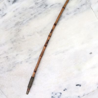 Walking Cane Straight Whip
