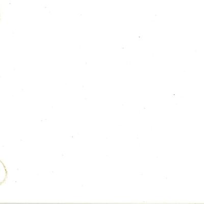 Back of 96: Origsize: 3" x 5"; Origformat: Print-Photographic; Resolution: 300dpi