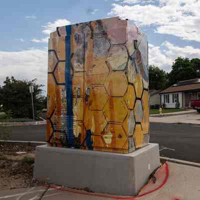 Honeybee #1