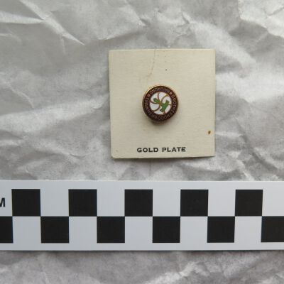Pin, Insignia