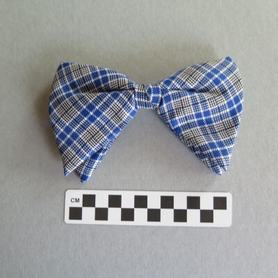 Front of bowtie: Origsize: 3" (w) x 5" (l); Origformat: Artifact