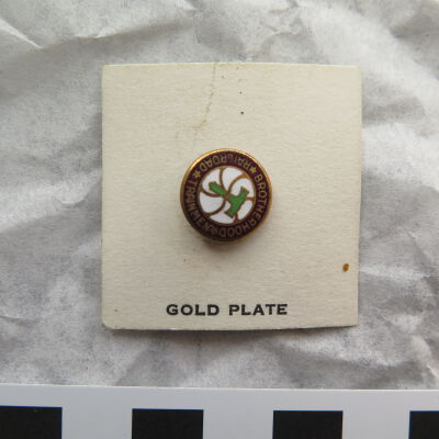 Close up of pin on card.: Origsize: 0.5" (dia); Origformat: Artifact