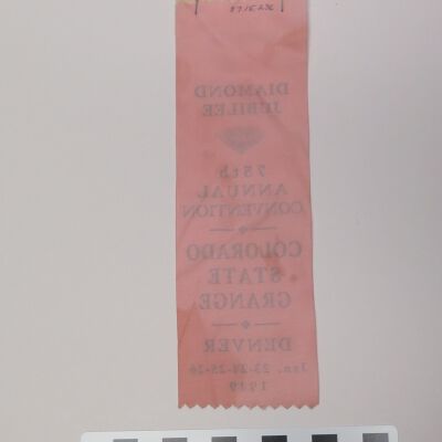 Back of nametag: Origsize: 2.5" (w) x 6" (l); Origformat: Artifact