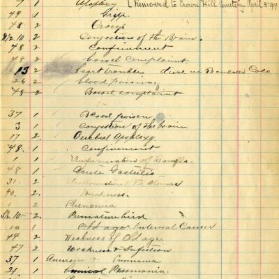 Burial Records Journal, Page 5, Master Copy: Origsize: Approx. 7.5" x 12"; Origformat: Book; Resolution: 600dpi