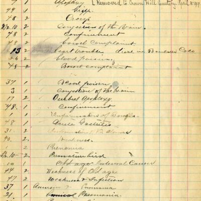 Burial Records Journal, Page 5, Access Copy: Origsize: Approx. 7.5" x 12"; Origformat: Book; Resolution: 300dpi