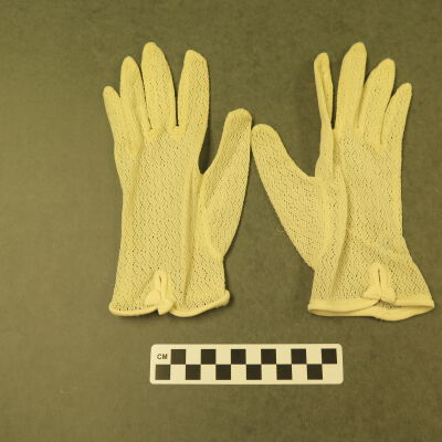 Glove