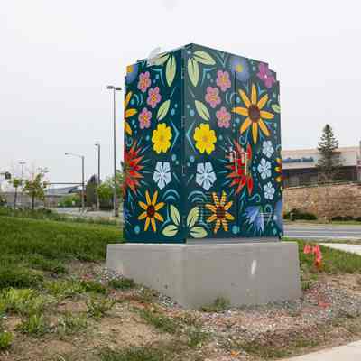 Wildflower Whimsy