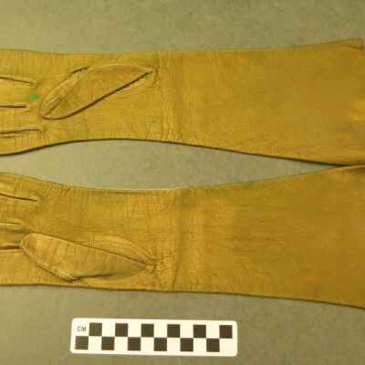 Other side of gloves.: Origsize: 4.5" (w) x 15" (l); Origformat: Artifact