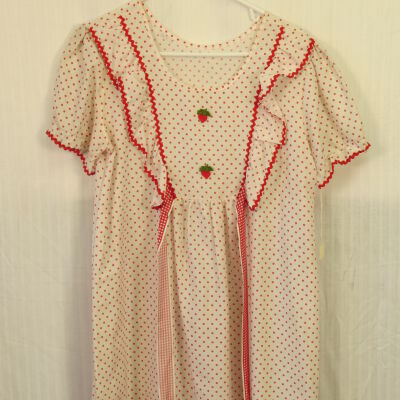 Close up of front of dress.: Origformat: Artifact