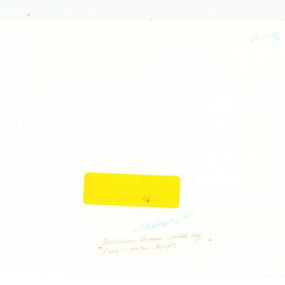 ph.446 back: Origsize: 3.5"x5"; Origformat: Print-Photographic