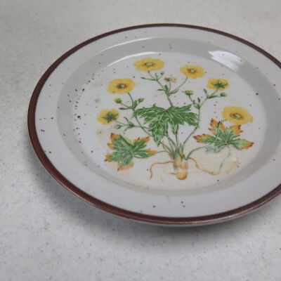 Plate, Decorative