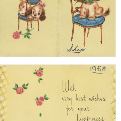 Photo of the Get-Well Card for Shep