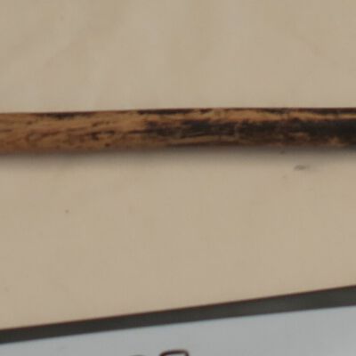 Cane