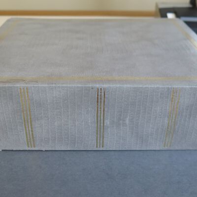 Spine