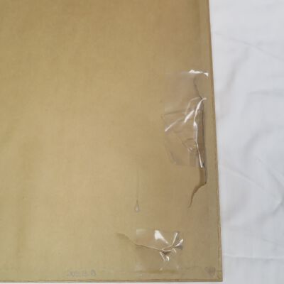 Condition: Tears in bottom PR corner, verso (2018-08-29): Origformat: Artifact