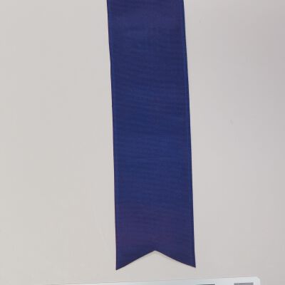 Back of ribbon: Origsize: 1.5" (w) x 6.5" (l); Origformat: Artifact