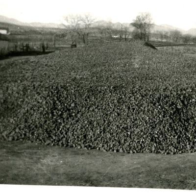 Broomfield Beet Dump