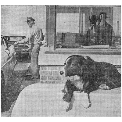 Candid Photo of Shep and the Tollbooth