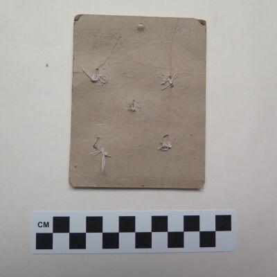 Back of card.: Origsize: 3.25" (w) x 4" (l); Origformat: Artifact