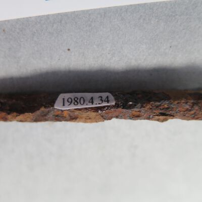 Number of rail spike.: Origsize: 5" (l) x .5" (diam); Origformat: Artifact
