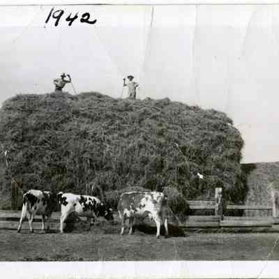 Stack of Alfalfa at the Brunner Farmhouse