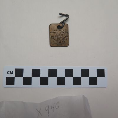 Tag, Animal