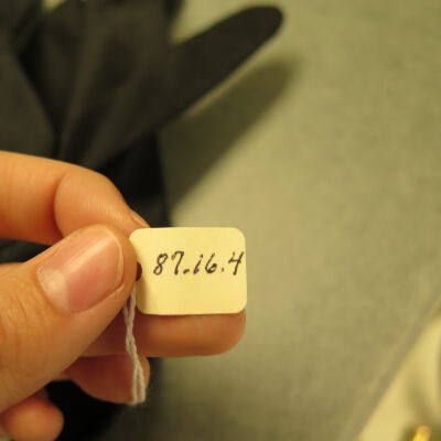 Close up of number on gloves.: Origsize: 5" (w) x 3" (l); Origformat: Artifact