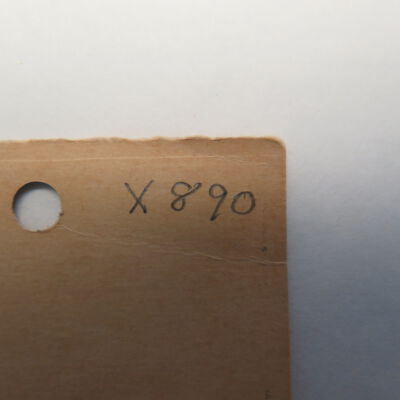 Number on back of card.: Origsize: 2" (w) x 5" (l); Origformat: Artifact