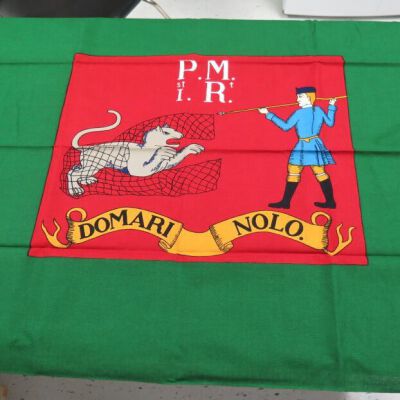 Front of flag.: Origformat: Artifact