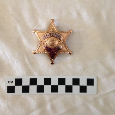 Badge, Insignia
