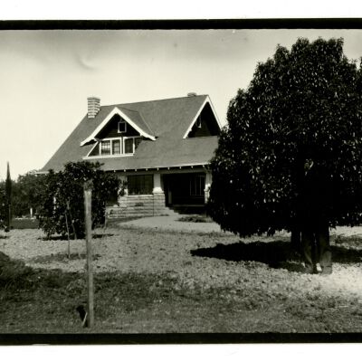 Photograph