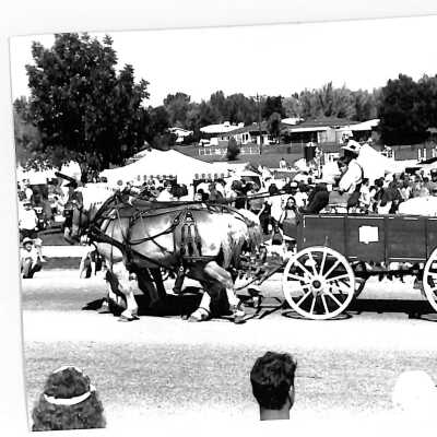 Horse-drawn wagon at 1989 Broomfield Days Parade