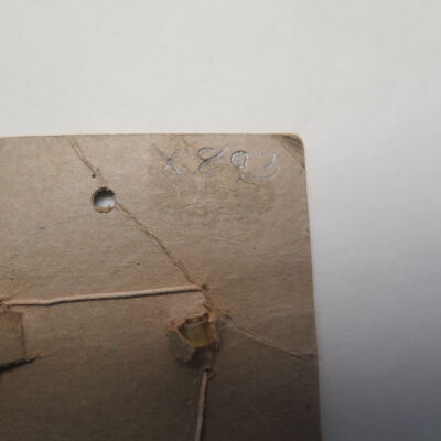 Number on back of card.: Origsize: 2.5" (w) x 3.5" (l); Origformat: Artifact