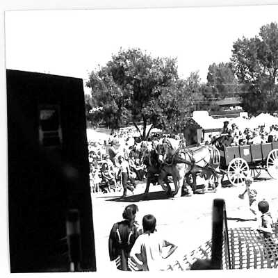 Horses pulling wagon at 1989 Broomfield Days