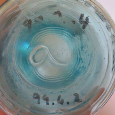 Both object IDs on bottom of jar.: Origformat: Artifact