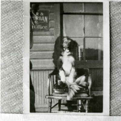 Brownie sitting in front of the Broomfield train depot, circa 1920: Origsize: 3.5" x 5"; Origformat: Print-Photographic; Resolution: 1000dpi