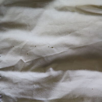 Petticoat