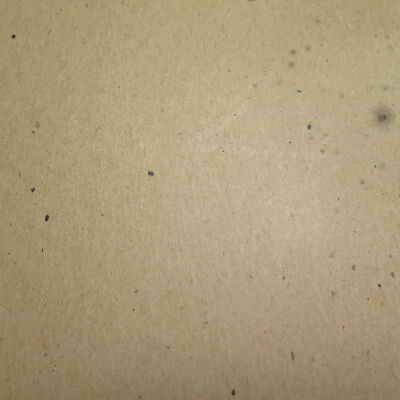 Condition: Close-up of accretions and stains near PR side on backing (2018-08-31): Origformat: Artifact