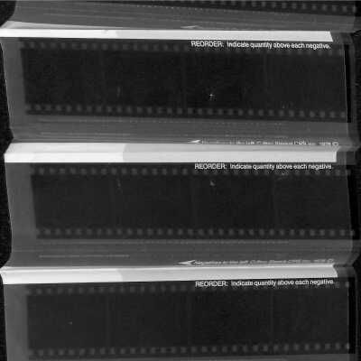 Negative Photographs of 1989 Broomfield Days